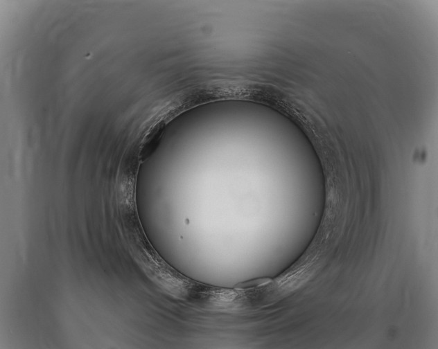 X0000090930096200707301124