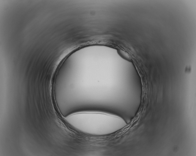 X0000090930100200707301123