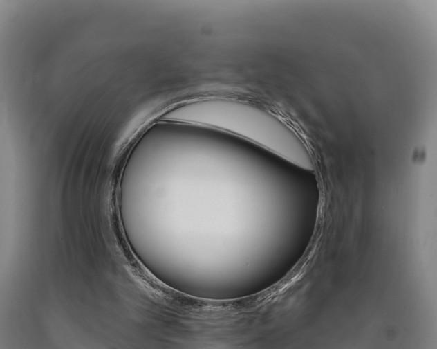 X0000090930101200707301123