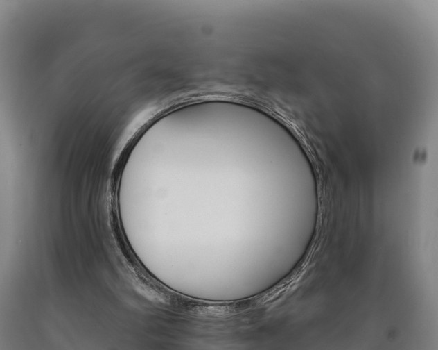 X0000090930102200707301123