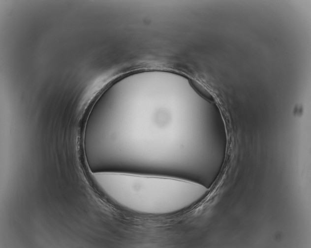 X0000090930103200707301123