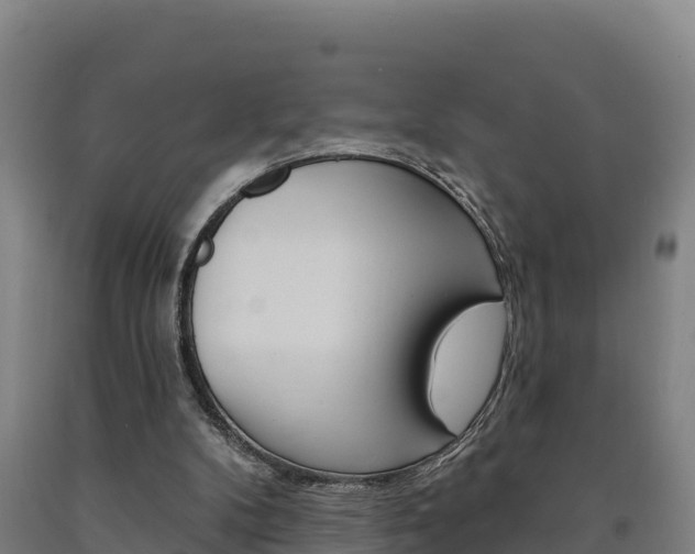 X0000090930104200707301123