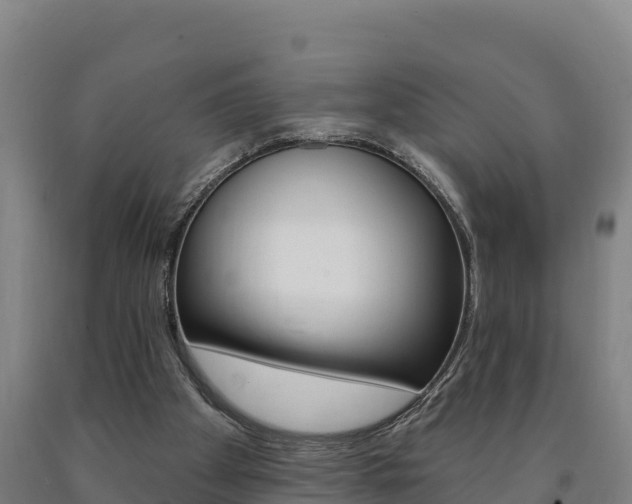 X0000090930105200707301123