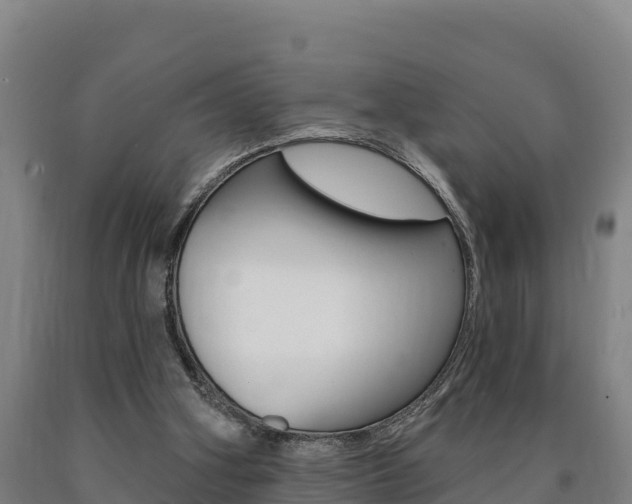 X0000090930106200707301123
