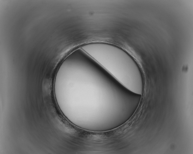 X0000090930107200707301123
