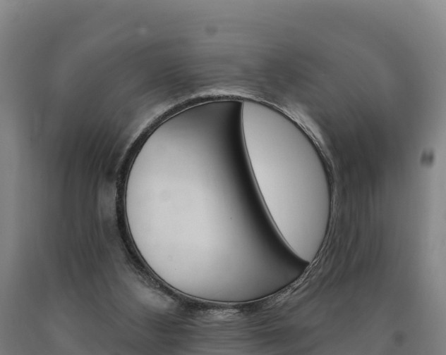 X0000090930108200707301123