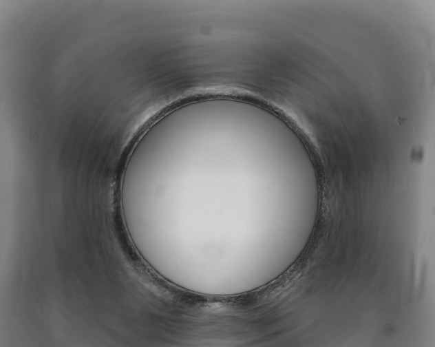 X0000090930111200707301123