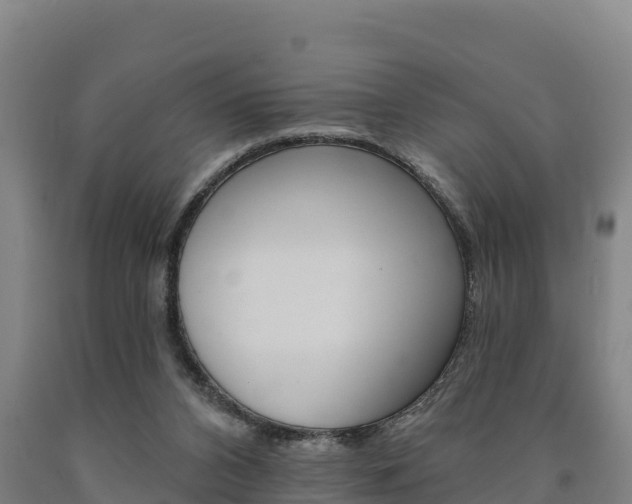 X0000090930112200707301123