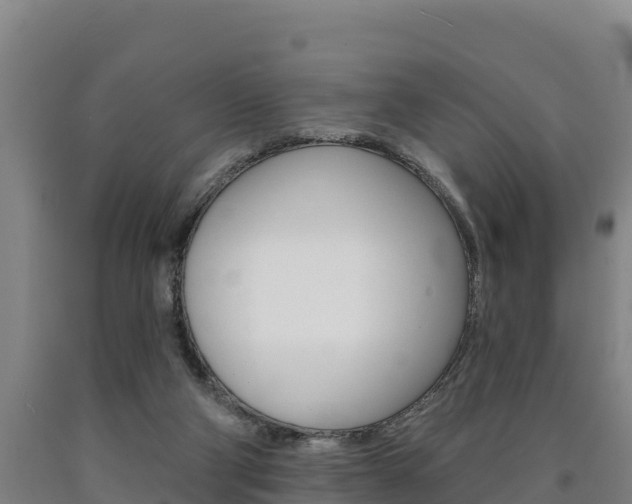 X0000090930114200707301123