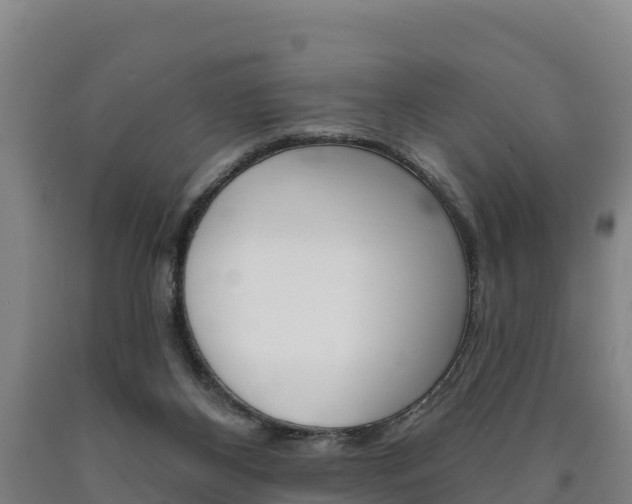 X0000090930116200707301123