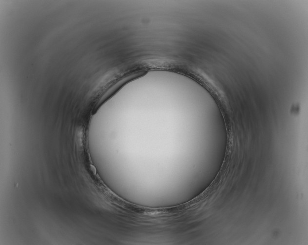 X0000090930117200707301123