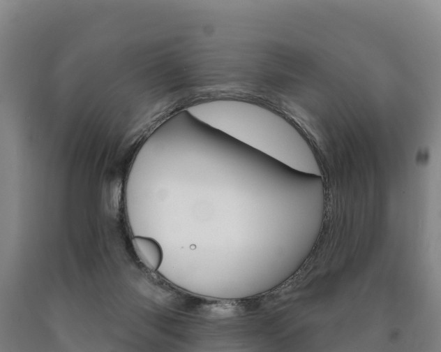 X0000090930118200707301123