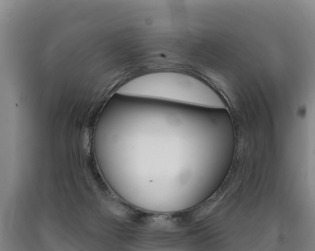 X0000090930121200707301123