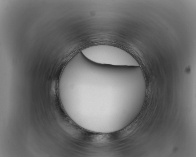X0000090930122200707301123