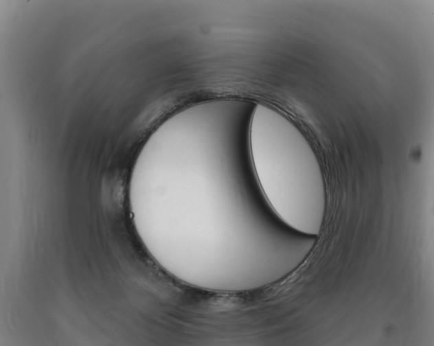 X0000090930124200707301123