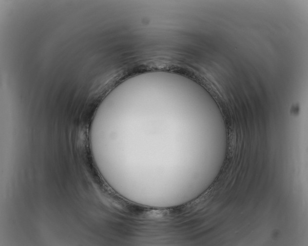 X0000090930126200707301123