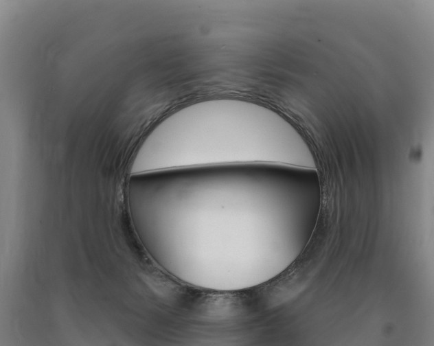 X0000090930127200707301123