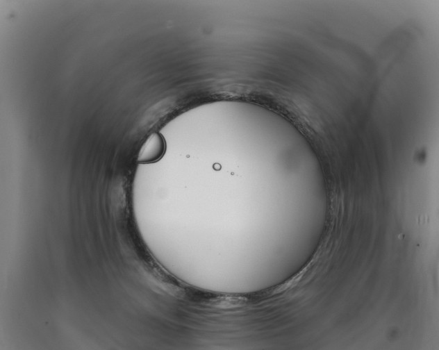 X0000090930128200707301123