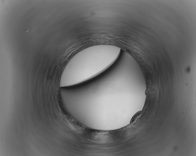 X0000090930132200707301123