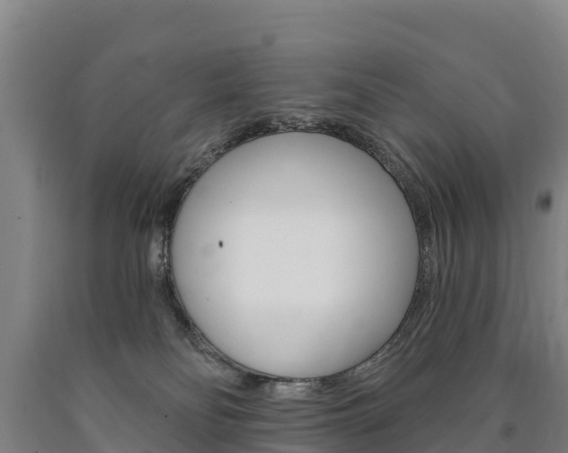 X0000090930134200707301123