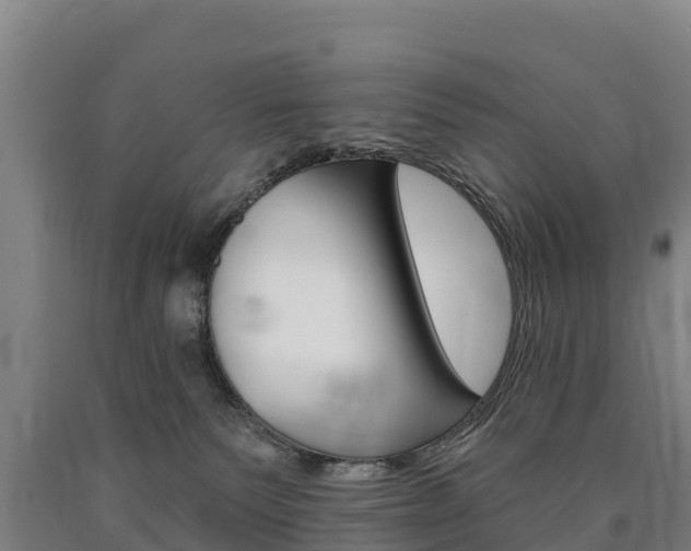X0000090930135200707301123