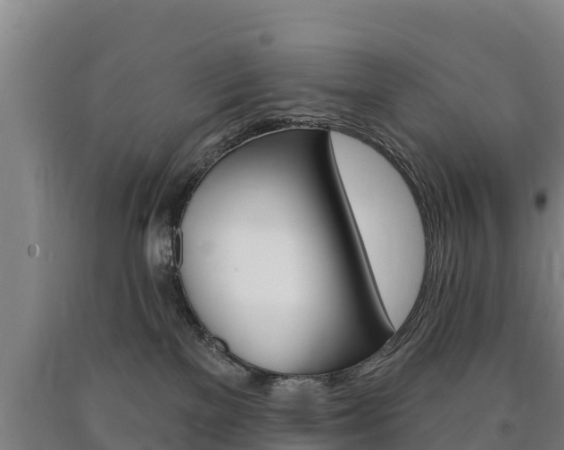 X0000090930137200707301123