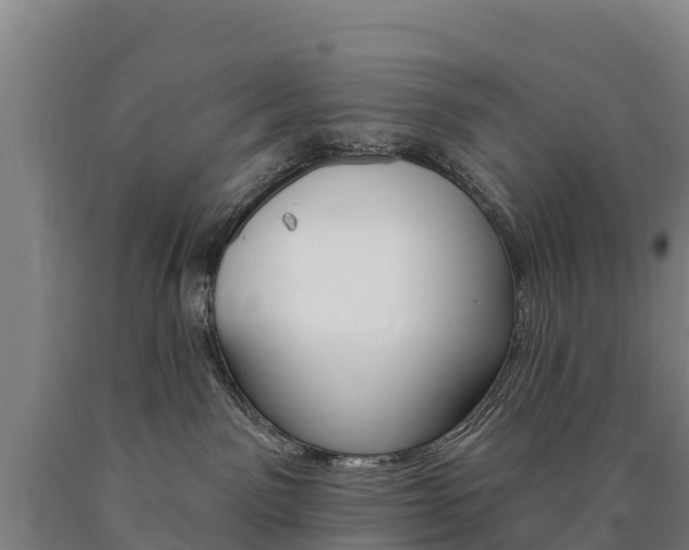 X0000090930141200707301123