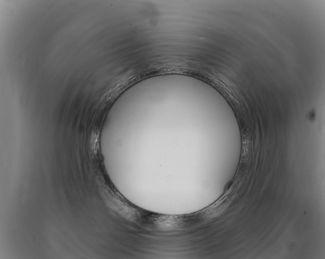 X0000090930142200707301123