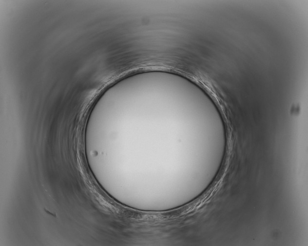X0000090930145200707301122