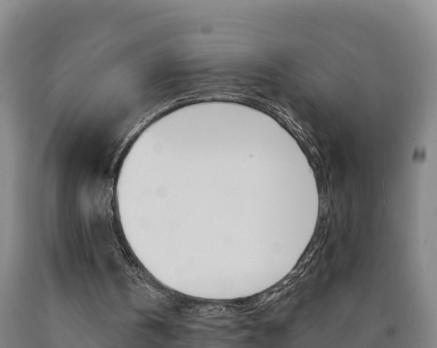 X0000090930146200707301122