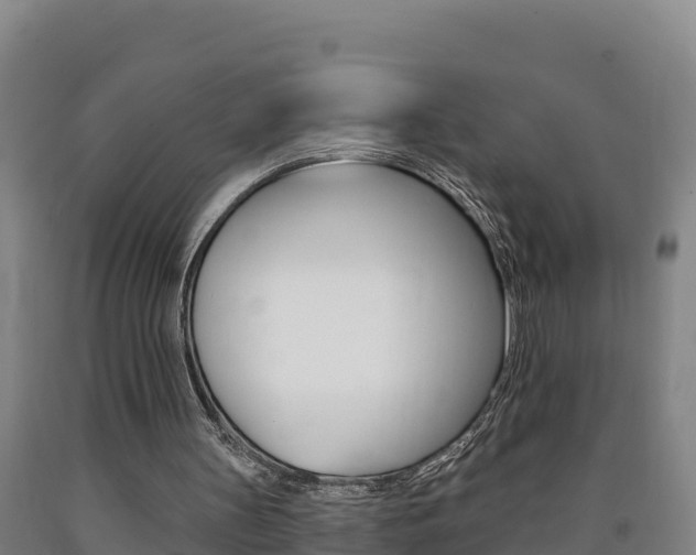 X0000090930147200707301122