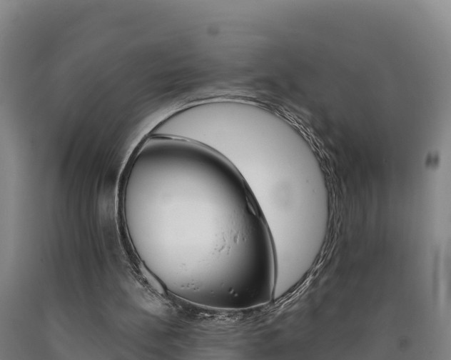 X0000090930148200707301122