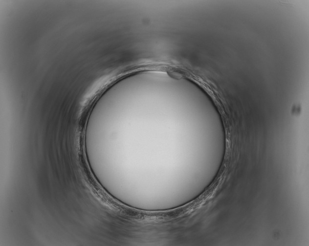 X0000090930149200707301122
