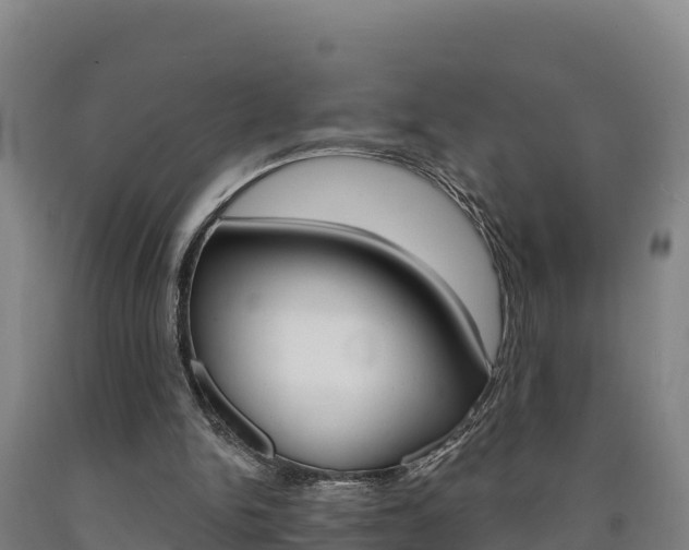 X0000090930150200707301122