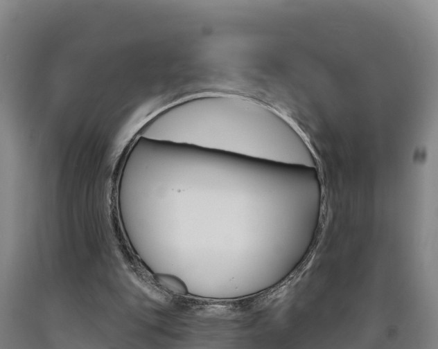 X0000090930151200707301122