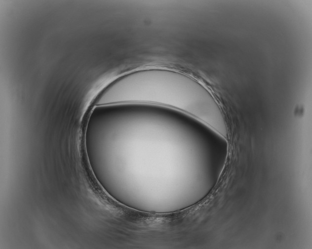 X0000090930152200707301122