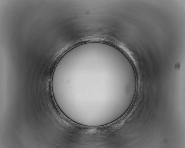 X0000090930153200707301122
