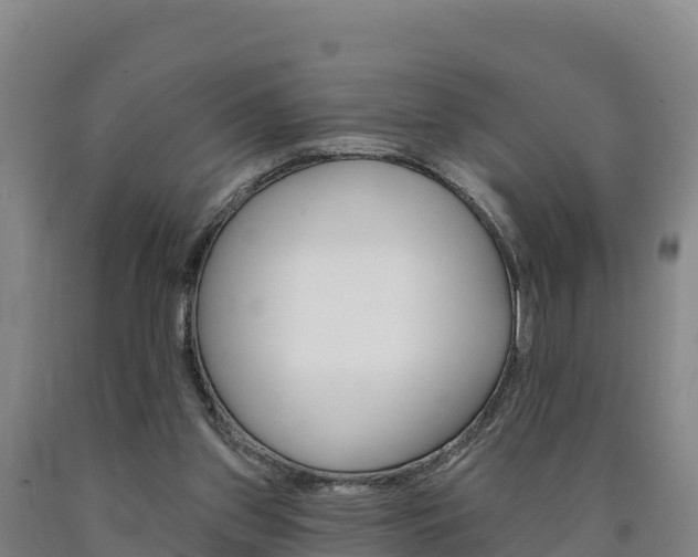 X0000090930157200707301122