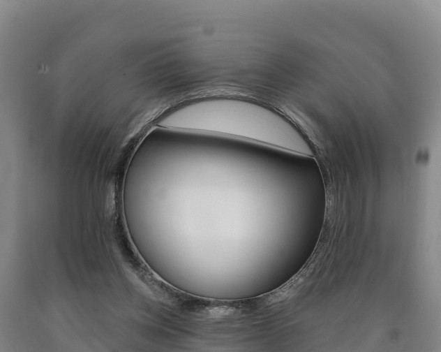 X0000090930158200707301122