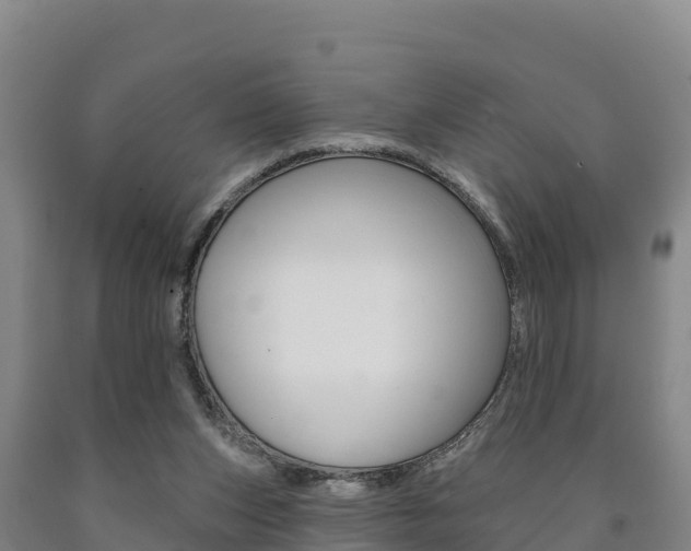 X0000090930159200707301122
