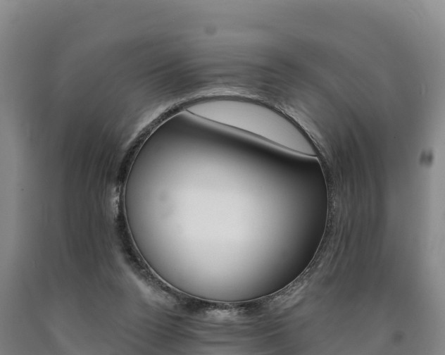 X0000090930160200707301122
