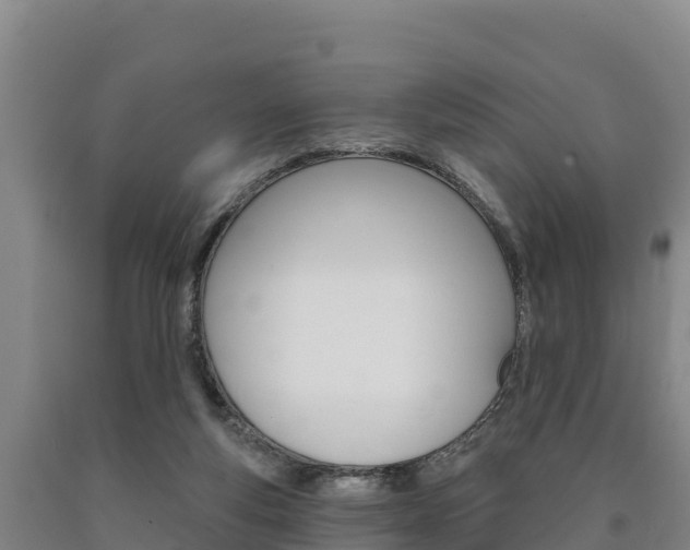 X0000090930163200707301122