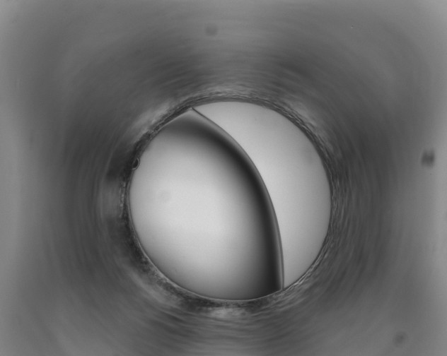 X0000090930168200707301122