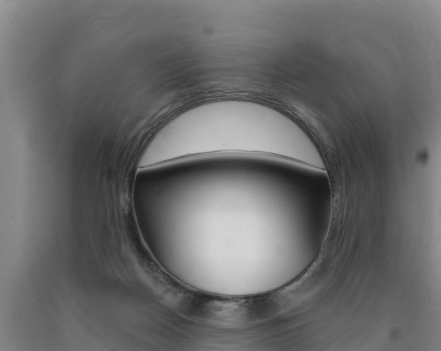 X0000090930170200707301122