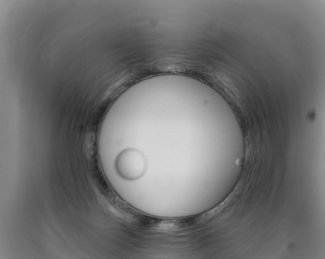 X0000090930171200707301122