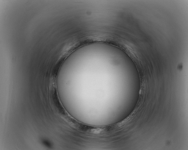 X0000090930172200707301122