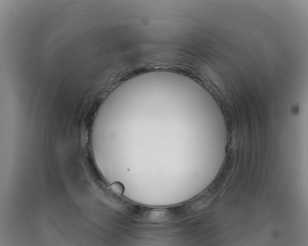 X0000090930173200707301122