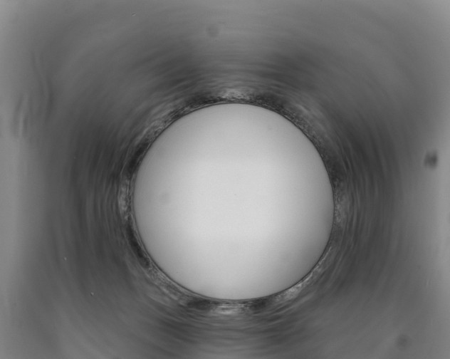 X0000090930175200707301122