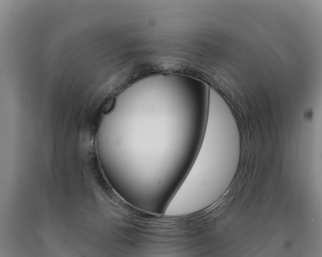 X0000090930176200707301122