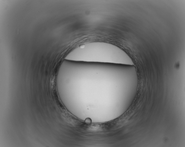 X0000090930177200707301122